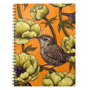 Carnet Wrens dans le jardin d'anémones jaunes