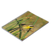 Carnet Yellowthroat (Côté gauche)