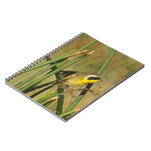 Carnet Yellowthroat (Côté gauche)