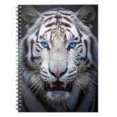 Carnet Yeux Bleus Blancs (Devant)