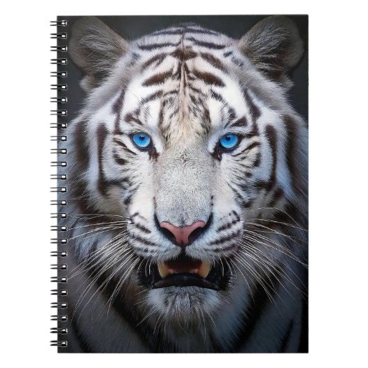 Carnet Yeux Bleus Blancs (Devant)