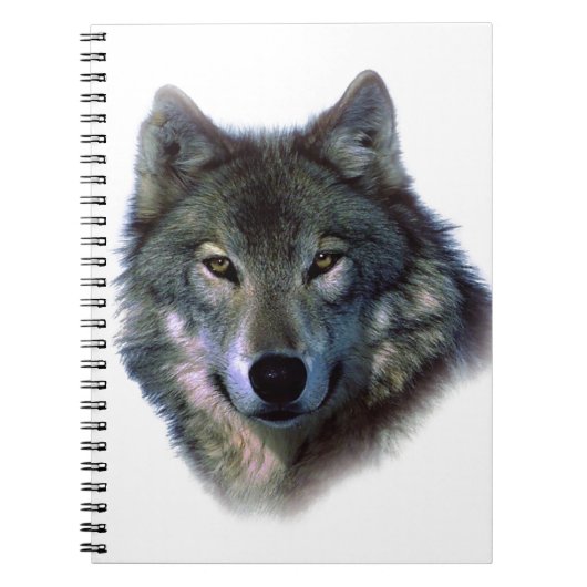 Carnet Yeux de loup gris (Devant)