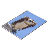 Carnet Yeux du Balbuzard (Côté gauche)