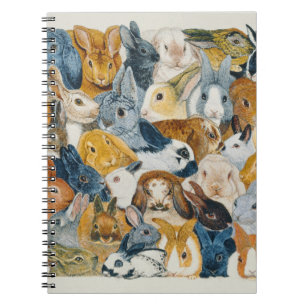 Carnet Yeux lumineux