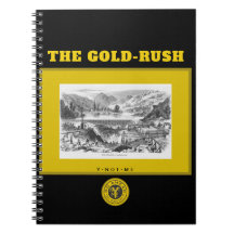 YNOTME THE GOLD RUSH 3