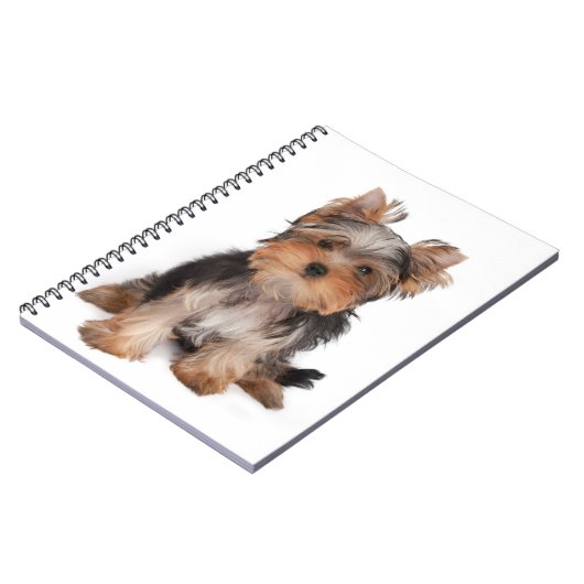 Carnet Yorkie (Côté gauche)