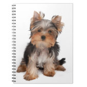 Carnet Yorkie (Devant)