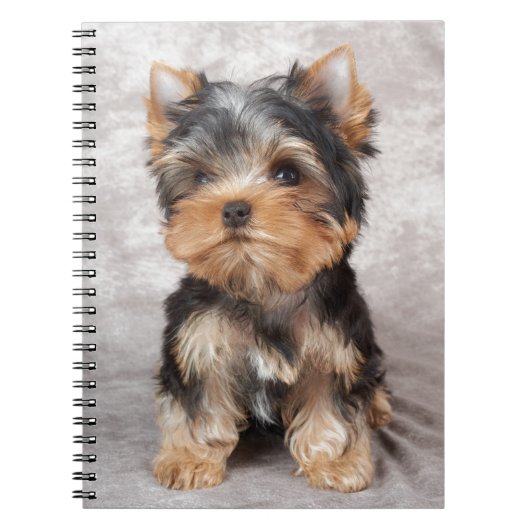 Carnet Yorkie merveilleux (Devant)