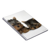 Carnet Yorkshire Terrier (Côté Droit)