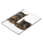 Carnet Yorkshire Terrier (Côté gauche)