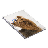 Carnet Yorkshire Terrier (Côté Droit)