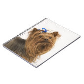 Carnet Yorkshire Terrier (Côté gauche)