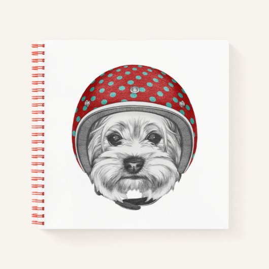 Carnet Yorkshire Terrier Daredevil (Devant)