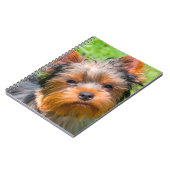 Carnet Yorkshire Terrier qui regarde vers le haut (Côté gauche)