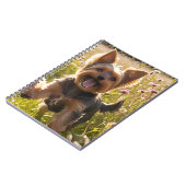Carnet Yorkshire Terriers Jouer dans l'herbe (Côté gauche)