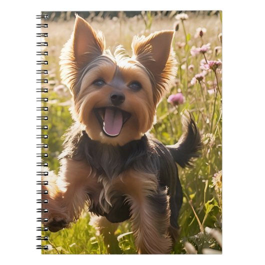 Carnet Yorkshire Terriers Jouer dans l'herbe (Devant)