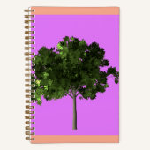 Carnet Young Ash Tree (Recto)