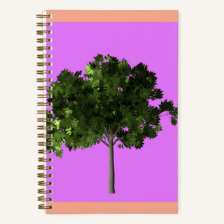 Carnet Young Ash Tree