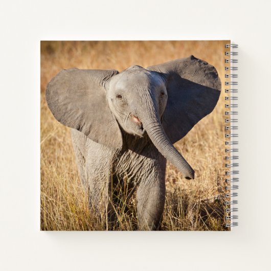 Carnet Young Bush Elephant (Dos)