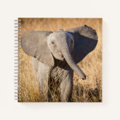 Carnet Young Bush Elephant (Devant)