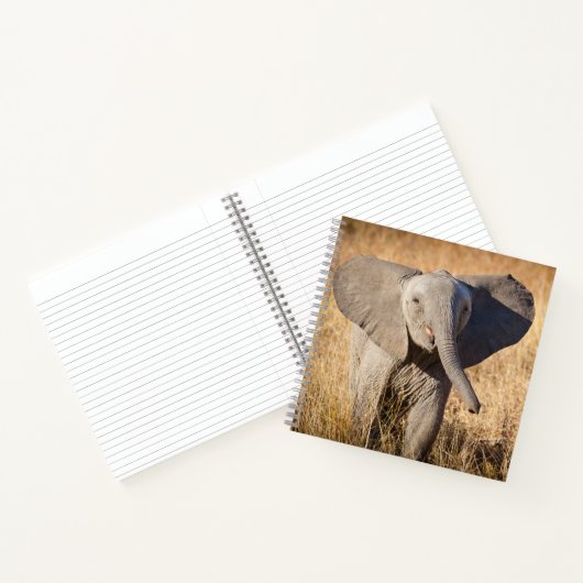 Carnet Young Bush Elephant (Intérieur)