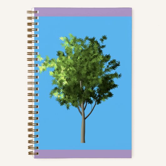 Carnet Young Robinia (Recto)