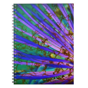 Carnet Yucca psychédélique