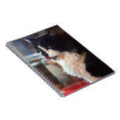 Carnet Yum ! Des cures de Kitty ! (Côté Droit)