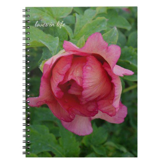 Carnet Yummy rose floroming Peony (Devant)