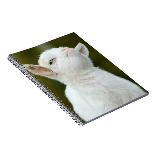 Carnet Yup (Côté Droit)