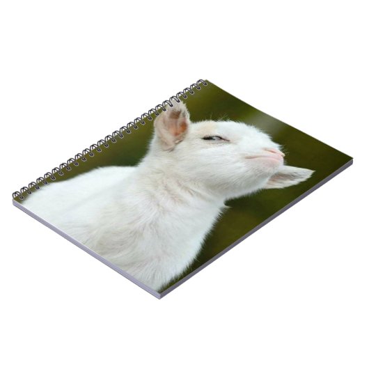 Carnet Yup (Côté gauche)