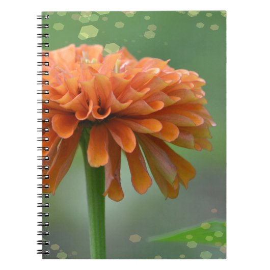 Carnet Zazzled Zinnia (Devant)