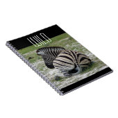 Carnet Zebra (Côté Droit)