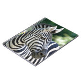 Carnet Zebra 001 (Côté gauche)