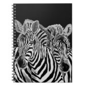 Carnet Zebra Couple (Devant)