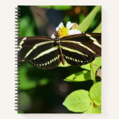 Carnet Zebra Longwing Butterfly Spiral Notebook (Devant)