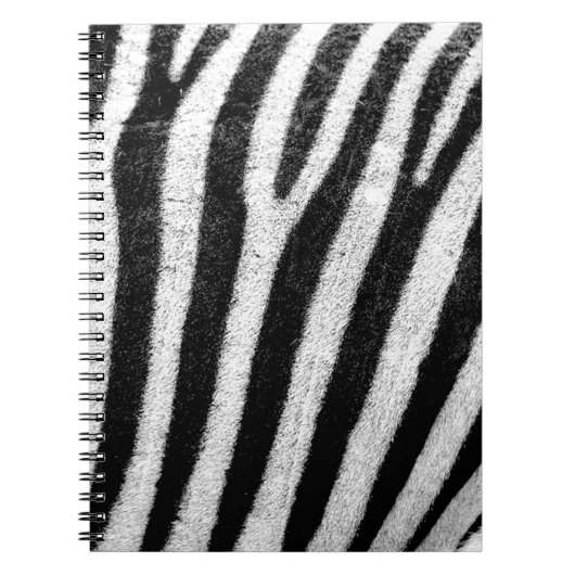 Carnet zebra Stripes (Devant)