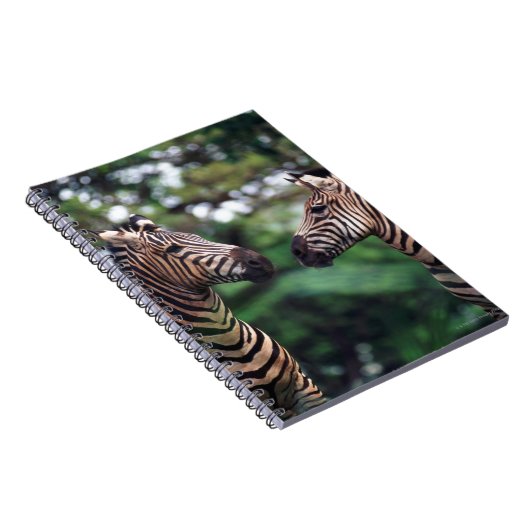 Carnet zèbre (Côté Droit)