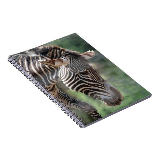 Carnet Zèbre aimable (Côté Droit)