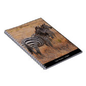 Carnet Zèbre au Kenya (Côté Droit)