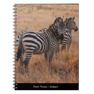 Carnet Zèbre au Kenya