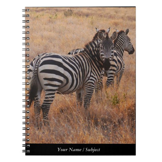Carnet Zèbre au Kenya (Devant)