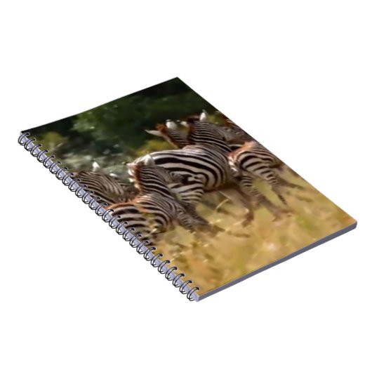 Carnet Zèbres en mouvement : Un voyage de mille milles (Côté Droit)