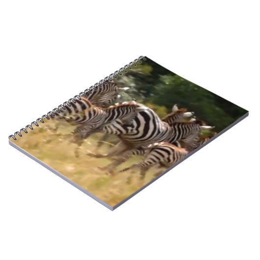 Carnet Zèbres en mouvement : Un voyage de mille milles (Côté gauche)