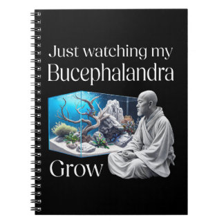 Carnet Zen and Bucephalandra