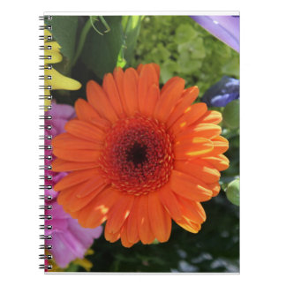 Carnet Zinnia