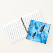 Carnets aux oies bleues (Intérieur)