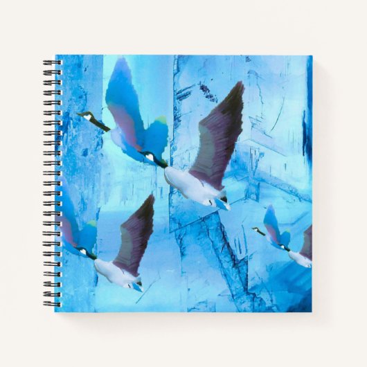 Carnets aux oies bleues (Devant)