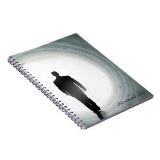 Carnets de Chicago IANDS