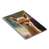 Carnets de notes à spirale d'alpaga de bébé (Côté Droit)